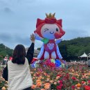 2025 울산 장미축제 실시간 후기