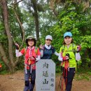 포항 내연산_2(2024. 06. 01) 이미지