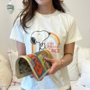 무지개투 이미지