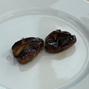 윙스약국 | 유럽여행 - 스위스위스위스위스위스위스윙스🇨🇭