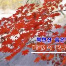 11월5일(일)북한산 단풍명소 숨은벽계곡 밤골단풍길 이미지