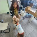 제리스토리 | 제리스토리님의 푸&lt;후기&gt;