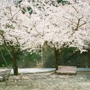 강릉영동대학 2 이미지