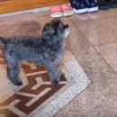 토리농장 이미지