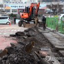 광주장원초등학교 이미지