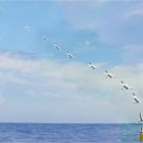 For Some - 이미지