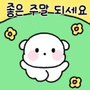 캠핑스토리 이미지