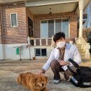 신월동178 | 창원 신월동- 폴 수제 돈까스 후기 (25.09)