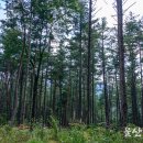 와리경로당 이미지