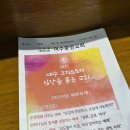 [여수] 엄마와 함께 : 오동도 방문기, 동백꽃 보러 간 오동도, 동백열차 시간과 비용