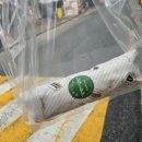 담쟁이김밥