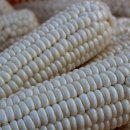 백석폭포 앞 이미지