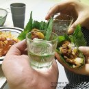 청주 봉명동 삼부자네 숏다리와 뚱문어 마약 쭈꾸미