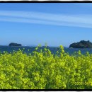 요트경기장 삼거리 이미지