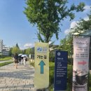 pet10무6879 | 십란 콘서트 보고왔습니당~
