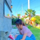 까페 죽암리 415 | 고흥카페 죽암리415 제주도느낌 낭낭한 바다뷰카페(까페죽암리415)