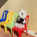 세븐일레븐 강화본점 이미지