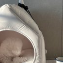 반하우스 | 아우스리푸 인포멀 하우스, 내돈내산 2년반 사용후기