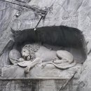 오송다시봄날의원 이미지