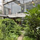 학동농장 | 모스가든 굿사마리안 레시피 학동역 예쁜 브런치