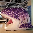 부산해양자연사박물관 이미지