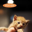 용연로 50번길 티스토리