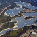 미래2태양광발전소 이미지