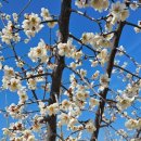 봉재산화장실 이미지