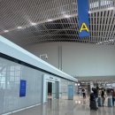 (주)초코페퍼 | 대한항공 인천-비엔나 KE937 프레스티지 기내식 후기(페퍼콘소스 스테이크, 돼지고기 김치찜)