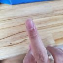 피자1989문산점 이미지