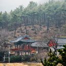 운대암 Daum카페