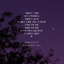 시장세탁소 네이버블로그