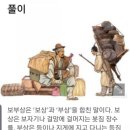 철진농장 | 장시(場市)의 始初 一老 / 손에꽃돌