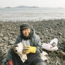 곰섬 바다 펜션 이미지