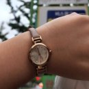 이동현 태양광발전소 이미지