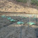 마루농장 이미지