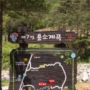 용소계곡 민박 네이버블로그