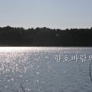 주간바우길598호 이미지