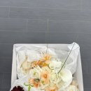 유인 | 제주 유인스냅 (네르비-단숨 패키지) 후기