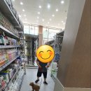 펫츠 아일랜드 이미지