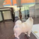 헤이라딘 이미지