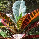 산서초교 이미지