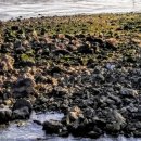 작은섬 2 이미지