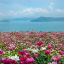 장계관광지 이미지