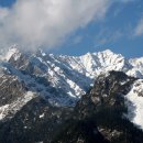 강현중 카카오 검색결과