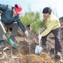 미성동-5 이미지