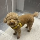 견생제과점 | [2024/11] 북구네 11월 둘째주 주간일기 일상 산책모음