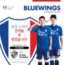 매거진