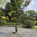 삼인산밸리캠핑장 이미지