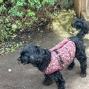 유석농장 이미지